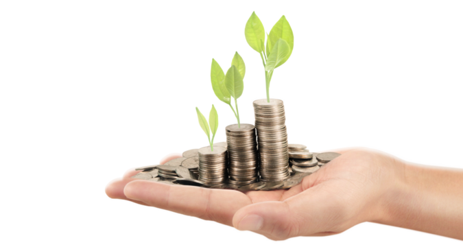 Investment growth strategies financial markets infographic business environment close-up view sustainable development