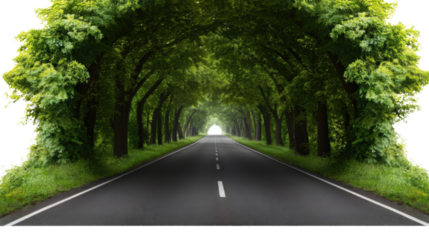road through the forest