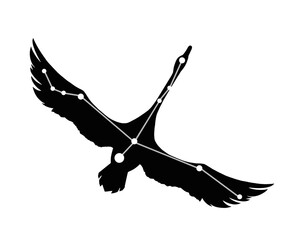 白鳥座のシルエットイラスト © sokabe