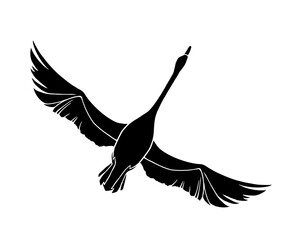 翼を広げて飛ぶ白鳥の白黒イラスト（白フチあり）