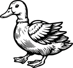 Black and white pen and ink line drawing mallard duck male duck bird standing illustration spot vector art