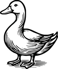 Black and white pen and ink line drawing mallard duck male duck bird standing illustration spot vector art