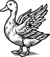 Black and white pen and ink line drawing mallard duck male duck bird standing illustration spot vector art