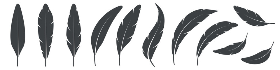 Obraz premium A set of bird feathers of different shapes, straight, curved and flying. Flat vector illustration isolated on white