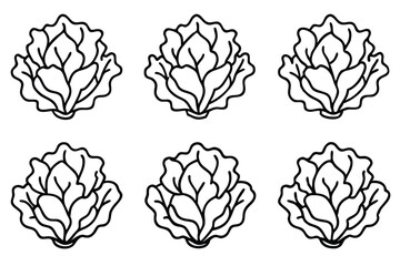 Lettuce in Continuou Essential Techniques for Year-Round Harvest