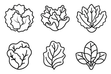 Lettuce Uses Beyond Salads and Healthy Meals