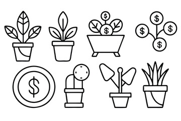 Money and Plant Create Harmony in Your Life