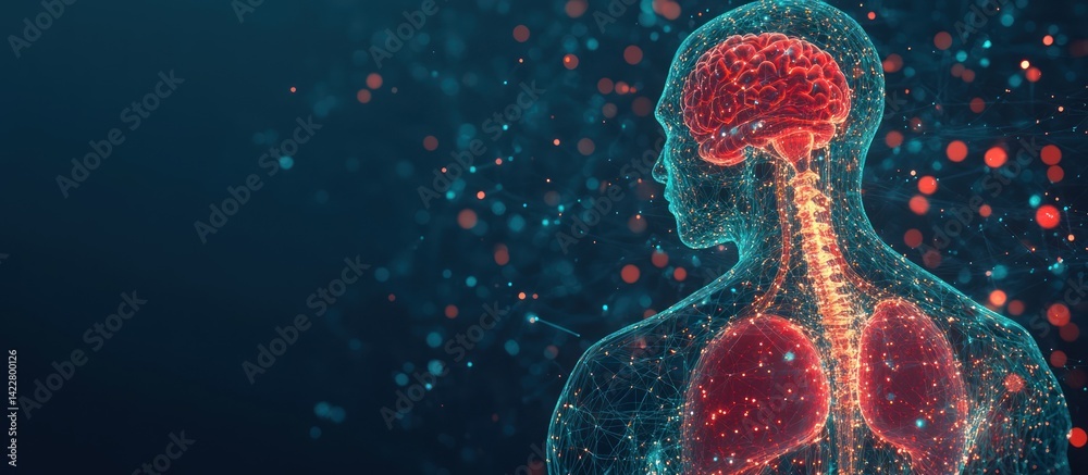 Poster human anatomy visualization with neural network structure and data connections