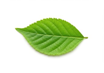 Obraz premium Two asparagus spears lying side by side on a white surface with a few water droplets scattered around