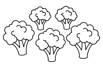 Broccoli Boosts Health With Essential Vitamins And Minerals