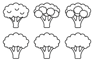 Broccoli Provides Essential Fiber For Digestive Health