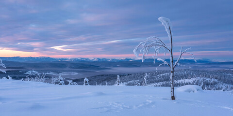 Winter wonderland snow scene landscape photography at dusk with snowy trees and mountains view 100