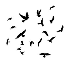 Elegant Black Silhouette of Birds Flying in the Sky with Minimalist Design for Nature-Themed Promotions, Artistic Wall Decor, and Eco-Friendly Marketing Campaigns