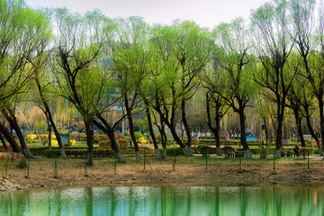 Landscape of rivers, plants, trees, buildings, and bridges in urban parks