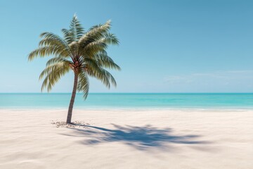 Tropical palm tree on sandy beach with clear blue sky, serene coastal landscape, exotic vacation destination, peaceful seashore scene under sunny weather