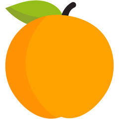 vector illustration of an orange fruit