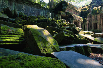 A pile of rocks covered with green moss