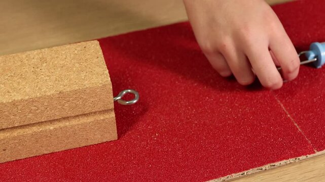 Measuring Friction with Spring Scale and Wooden Block