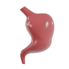 Human Organ and Anatomy 3d icon render