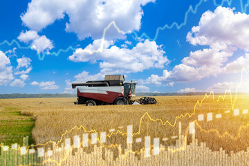 Agricultural business. Harvester during harvesting. Growing chart near wheat field. Growing profits...