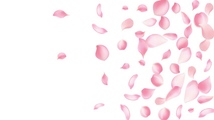 Rose petals or sakura flying petals, romantic background with realistic pink cherry flower petals flow or falling motion. Love, romance, floral spring season,cherry blossom