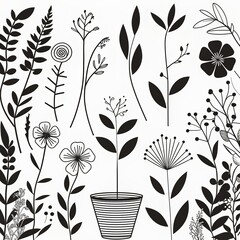Botanical whimsy Black  white line art of garden plants  flowerpot in a light airy setting