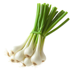 bunch of fresh spring onions isolated on white background.