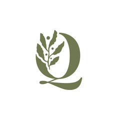 Obraz premium Intial Q Nature Logo Vector. Q Leaf Monogram Logo for Natural Brand Identity Vector Illustration of a Plant