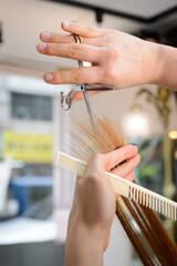 A hairdresser cutting hair
