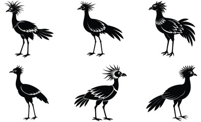 Naklejka premium Secretary bird animal bird silhouette black vector art design set