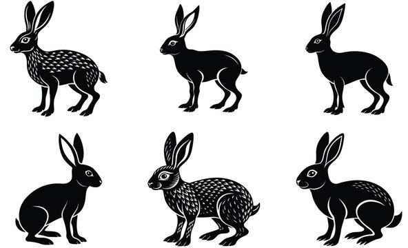 Springhare wild animal silhouette vector art design set