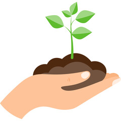 Reforestation Illustration