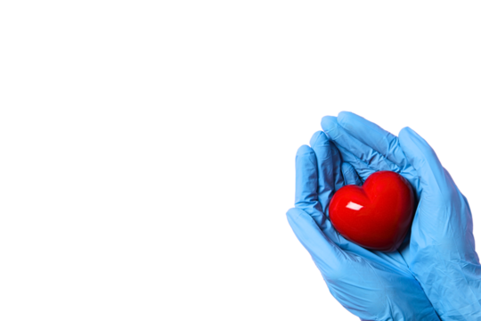 Hands in blue gloves hold a red heart symbolizing nursing care, isolated on white, PNG