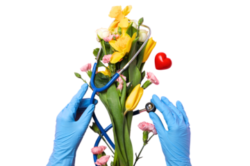 Hands with blue gloves hold flowers and stethoscope, symbolizing care, isolated on white, PNG