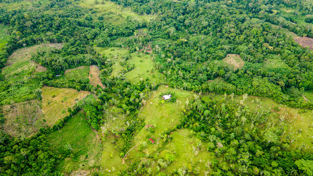 Aerial View of Lush Green Forest and Clearing in Putumayo, Colombia, Highlighting Amazon Rainforest's Natural Beauty