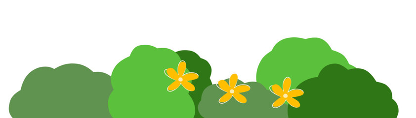 Fototapeta premium grass and flowers