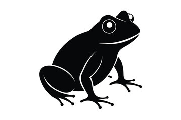 frog vector illustration isolated on white background 
