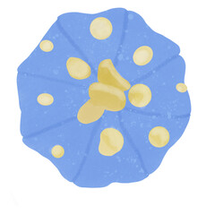 The drawing of the blue astro cactus can be used to decorate various related worksheets. The transparent background can be expanded and adjusted according to your needs.