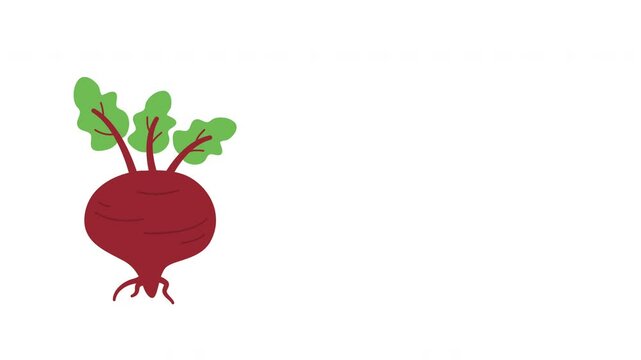 Beetroot, Healthy eating, vegetarian products