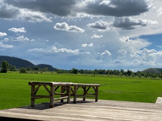 A bamboo bench in the outdoor garden, green field against the sky in the background.