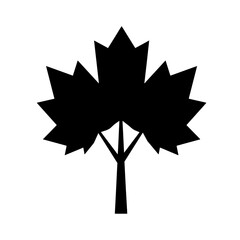 Silhouette of a Majestic Leaf: A clean and striking image of a detailed leaf in silhouette against the background, symbolizing growth, life, and the beauty of nature.