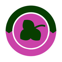 vector illustration of a flower