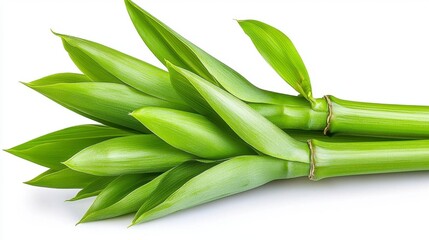 Obraz premium Vibrant Green Bamboo Stalks on White Background