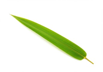 A single green bamboo leaf lies diagonally on a white background with visible veins and a pointed tip end