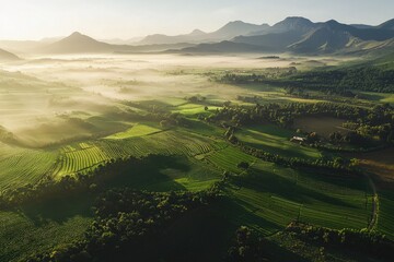 Obraz premium Verdant terraced fields, distant mountains shrouded in mist, early morning light casting long shadows over the landscape