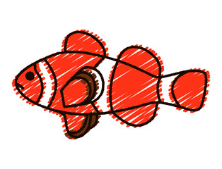 手書き風クマノミのカラーイラスト