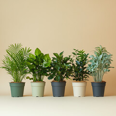 Fototapeta premium A serene lineup of potted plants against a blank background, perfect for nature themes, home decor, and botanical projects. Minimalist and versatile