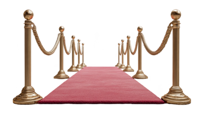 Glamorous Red Carpet Event with Golden Stanchions Creating a VIP Entrance Experience