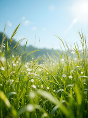 Fototapeta premium Meadow grass sway from side to side in gusts of fresh breeze, Bright greens playing under sun