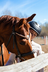 Young girl jockey in a helmet hugs her horse in the arena, training at a riding school. The concept of horse riding training. Jumping competition.